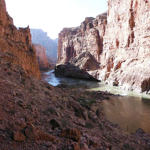 Nautiloid Canyon